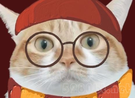 猫猫教是什么意思 猫猫教口号是什么预览图