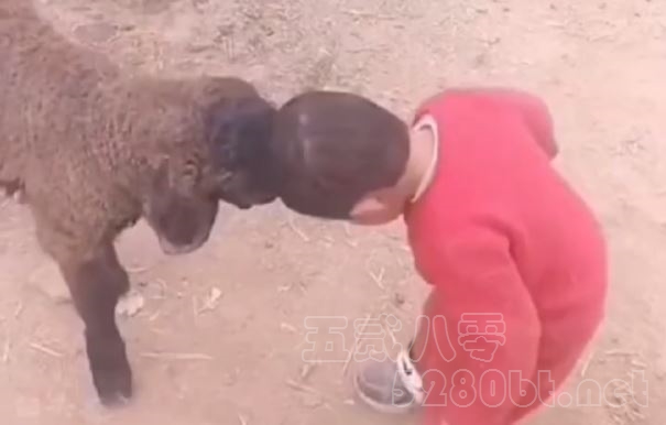 怨种是什么意思 和冤种有什么区别预览图