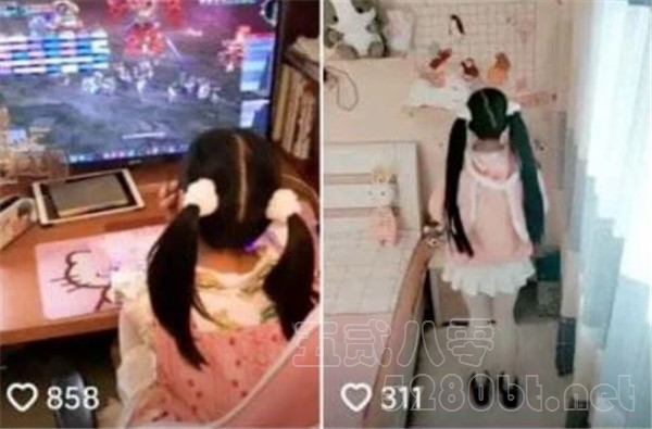 赛高兔19万金是什么瓜 赛高兔长什么样预览图